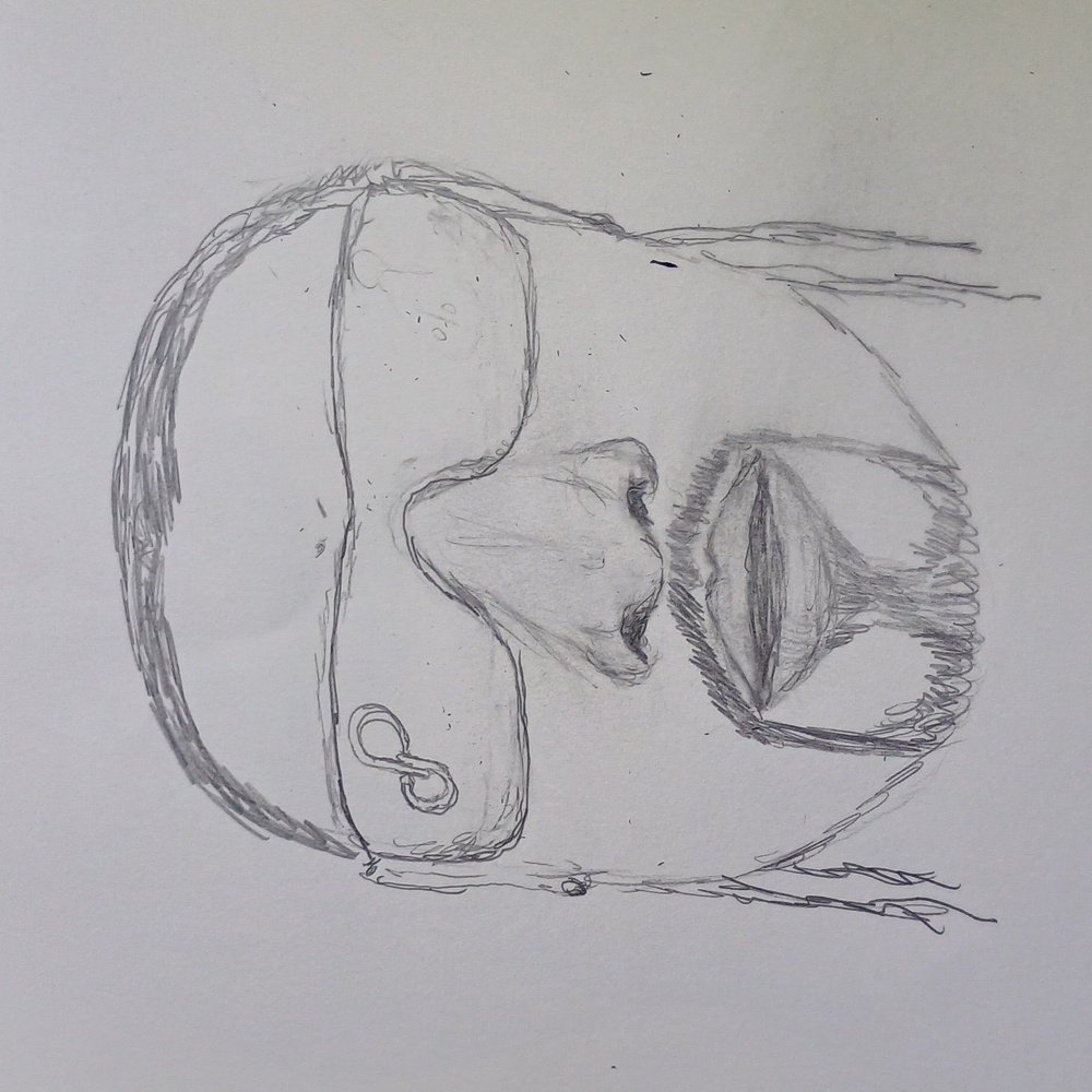 Sketch